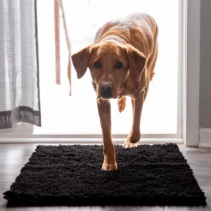 CleanyMat Premium - Tapis nettoyant