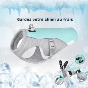 Gilet Rafraîchissant Pour Chien