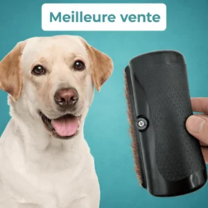 GroomBrush - Brosse de toilettage
