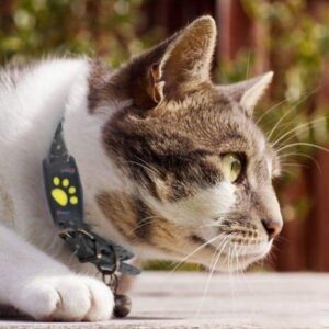 TrackMyCat™ - Dispositif de Localisation de Traqueur GPS Cat Pour Animaux De Compagnie
